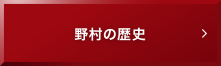 野村の歴史